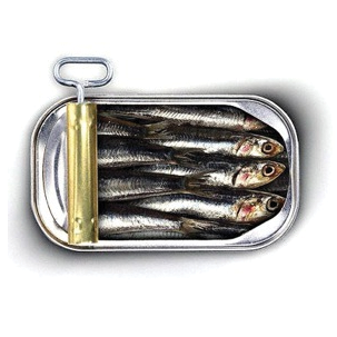 Sardines